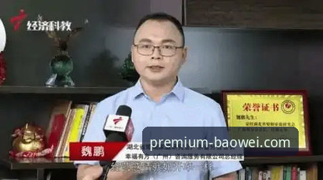 资深用户深度剖析：宝威体育官方客服渠道的实战对比心得